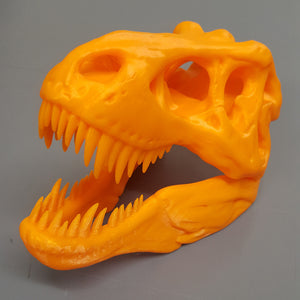 T-Rex Skull in PLA