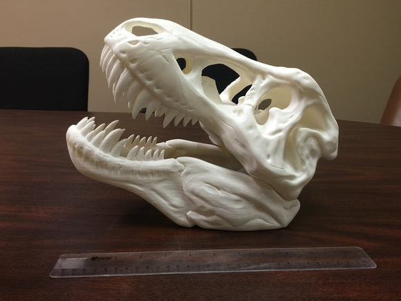 Check out these images printed by the Raise3D